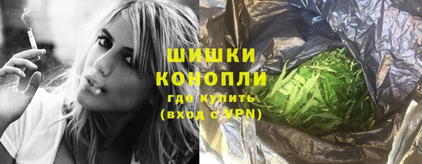 бошки Пересвет