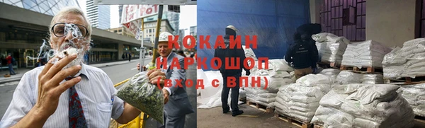 бошки Пересвет