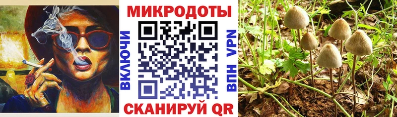 Галлюциногенные грибы мицелий  Лесозаводск 